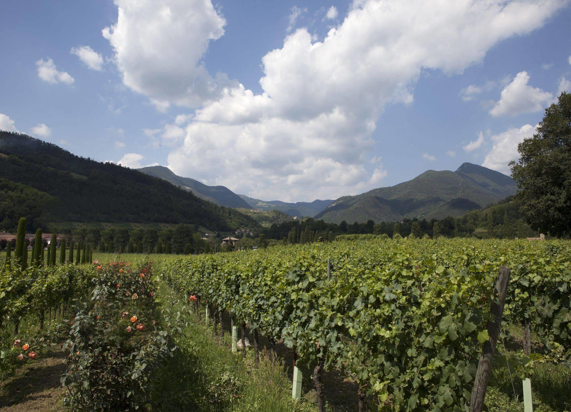 Podere Castel Merlo Resort 4*